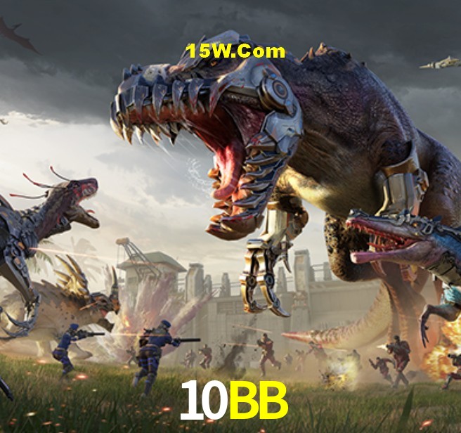 Interface Premium 10BB
